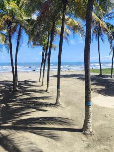 Oceanfront apartment in Morrocoy, Tucacas, PB