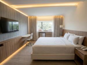 Viale Jardins