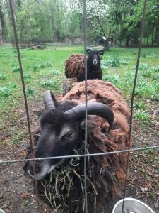 Tinyhaus am Flughafen, der DLR und ESA