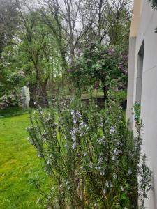 Tinyhaus am Flughafen, der DLR und ESA