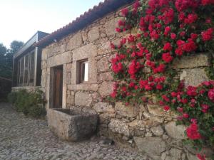 Casa das Rosas