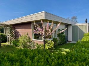 VT wonen stijl vakantiebungalow nabij zee, strand, bos en duinen voor 6 personen
