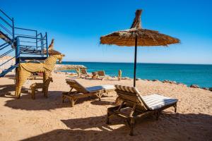 Loft Beachfront Bungalow with Private Beach