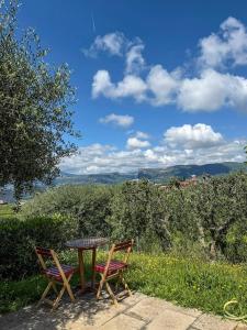 Beautiful family home with swimming pool and parking
