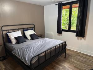 Chalet en bord de Loir