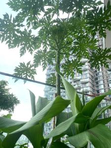 Caracole homestay - 2BR with cozy balcony garden