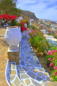 Vista Loca Myconos Greece