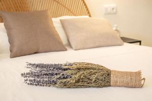 PepeFlats - Mediterranean Junior suite and terrace - BD3