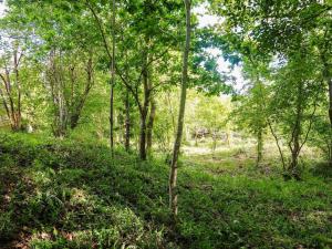 5 star holiday home in Hadsund