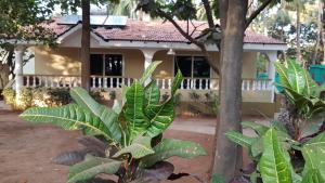 Hill Top Goa Lodge