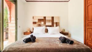 Palm Grove Escape, Pool, Quiet Retreat