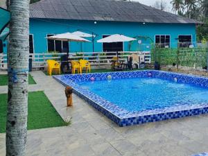 Green Forest Resort