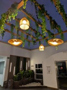 La Casa Terracotta, ménage et linge inclus