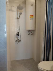 Студиа Мансарда Ненови