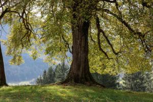 Sonnenbichl Ferienwohnungen