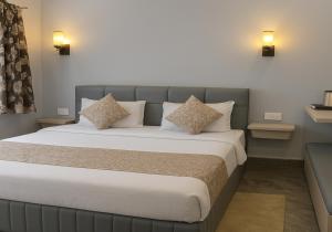 The Aura - Backpacker Stop