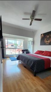 Beautifull Apartment in Anzures Polanco