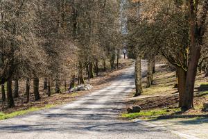 Odpocznij sobie - Apartament w Polanicy-Zdrój