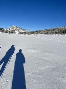 Casetta dalle finestre rosse img27