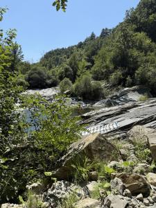 Casetta dalle finestre rosse img35