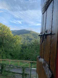 Casetta dalle finestre rosse img31