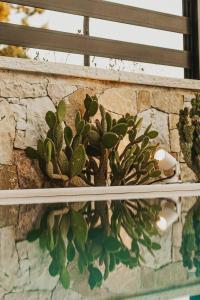 Vila Luar Himara- Luxury Stay