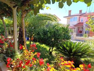 Apartment Vesna