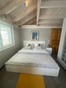 Relax Comfy Cozy Apartment