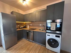 Alenik Private Apartment -Pamporovo