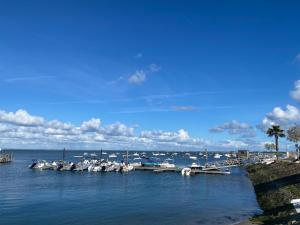 Studio sur le port avec vue bassin