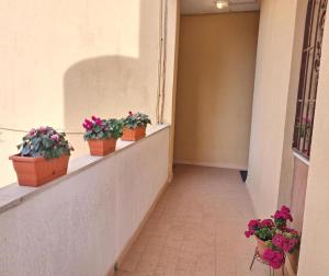 Europe Alguerhouse img22