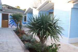 Oaz Beach & Camp - Bungalow