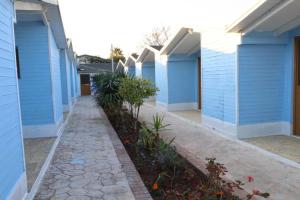 Oaz Beach & Camp - Bungalow