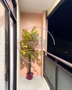 Megatower3 Unit 3F-13 Baguio Studio Condo by Dei Gratia