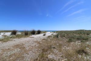 Beach Apartment- Fronte Spiaggia img31