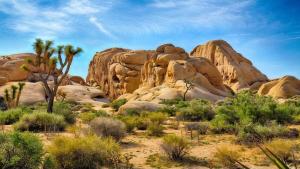 Desert Retreat - Hot Tub, Full Kitchen, Near JT