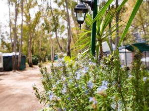 Camping Cala d'Ostia img59