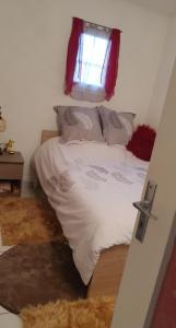 appartement residence Neptuna CAP DAGDE