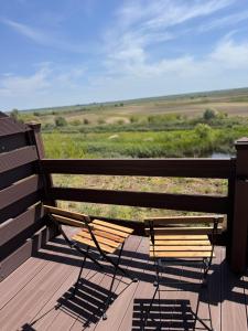 Danube Delta View