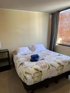 Amplio departamento Parque Forestal c Estacionamiento gratis
