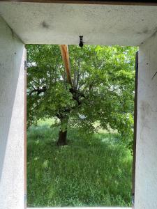 Appartement avec jardin au coeur du Verdon!
