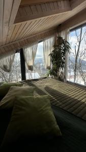 Apart Garden з чаном-джакузі