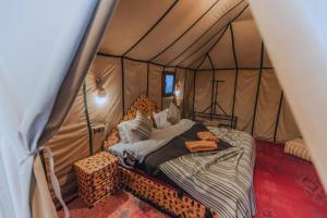 Luxury Sahara desert experience