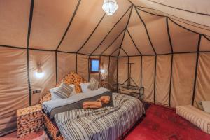 Luxury Sahara desert experience