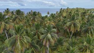 San Blas Private Island Glamping Demar Achu