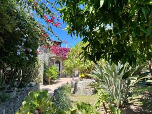 Il Pozzo dIschia Adults Only - Bilocale