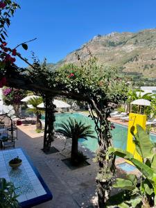Il Pozzo dIschia Adults Only - Bilocale