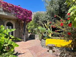Il Pozzo dIschia Adults Only - Bilocale