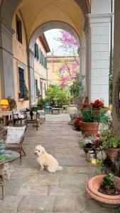 Villa La Dogana B&B di Charme - Historic Villa with a beautiful garden - private parking