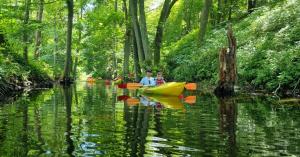 APARTAMENTY NA PLAŻY - KRUKlanki